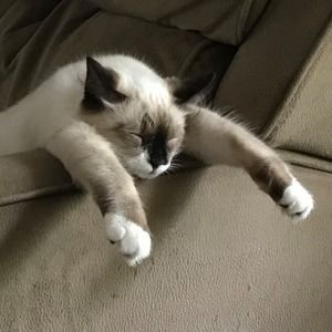 Meet your Posher, Jamie